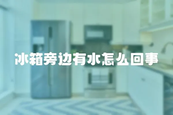 冰箱旁邊有水怎么回事