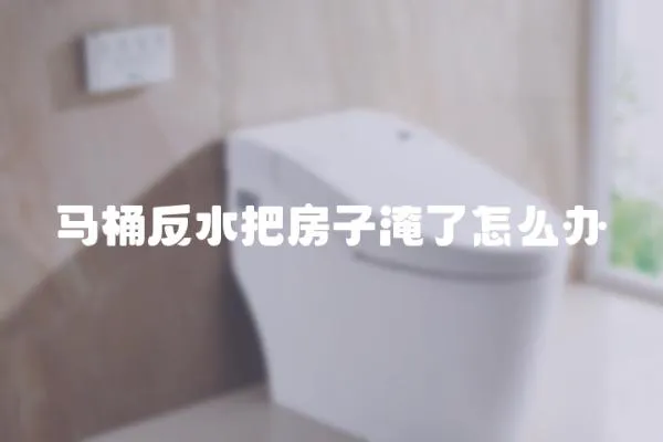 馬桶反水把房子淹了怎么辦