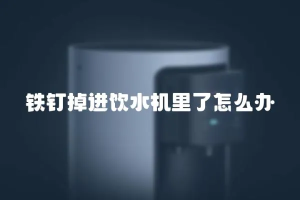 鐵釘?shù)暨M飲水機里了怎么辦