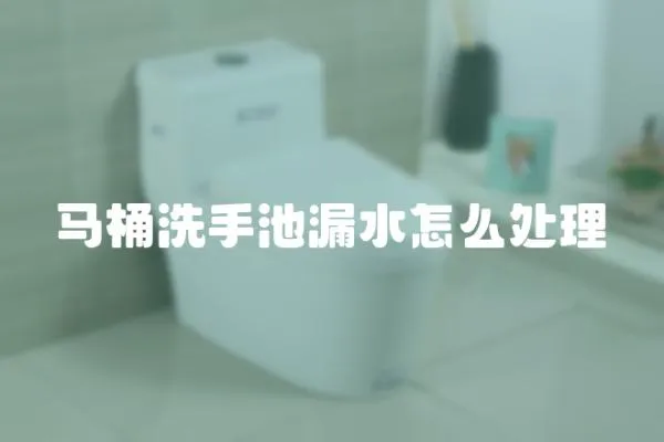 馬桶洗手池漏水怎么處理
