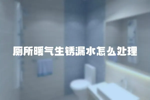 廁所暖氣生銹漏水怎么處理