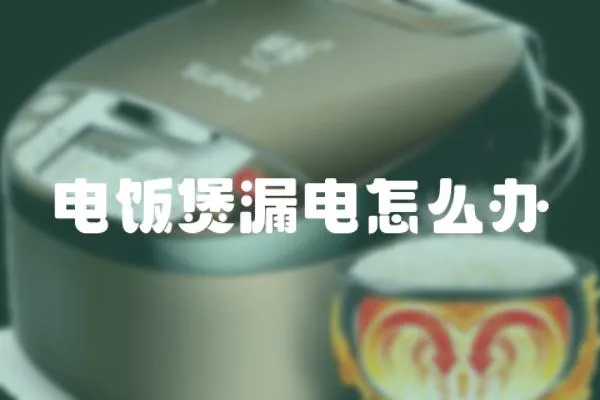 電飯煲漏電怎么辦