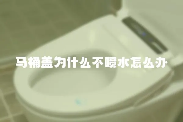 馬桶蓋為什么不噴水怎么辦