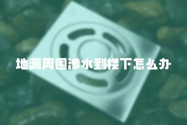 地漏周圍滲水到樓下怎么辦
