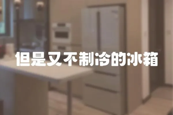 但是又不制冷的冰箱