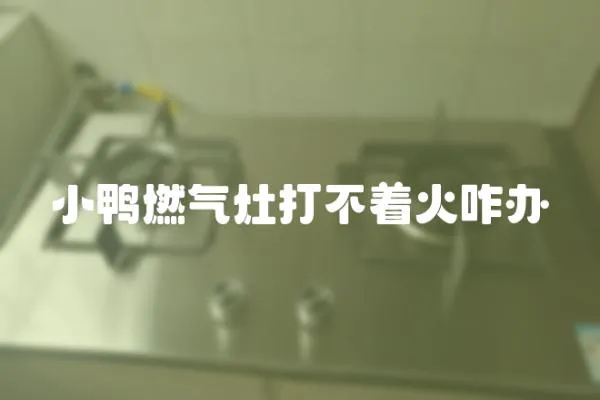 小鴨燃氣灶打不著火咋辦