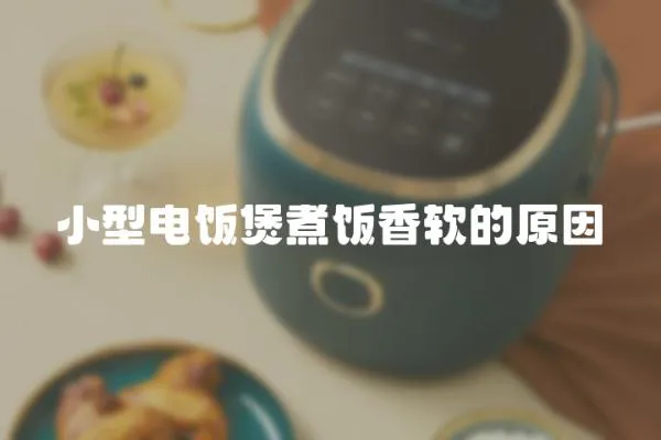 小型電飯煲煮飯香軟的原因