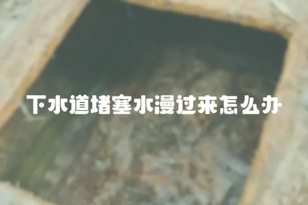下水道堵塞水漫過(guò)來(lái)怎么辦