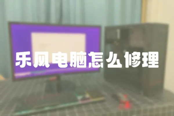 樂風電腦怎么修理
