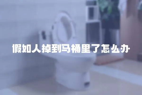 假如人掉到馬桶里了怎么辦