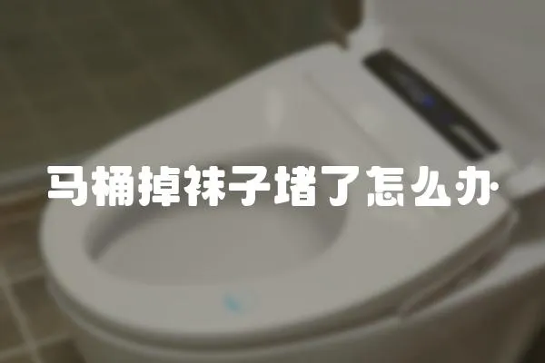 馬桶掉襪子堵了怎么辦