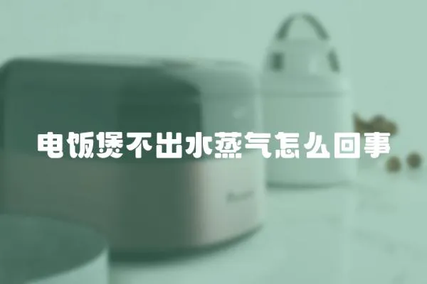 電飯煲不出水蒸氣怎么回事
