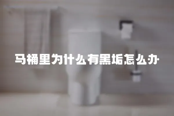 馬桶里為什么有黑垢怎么辦