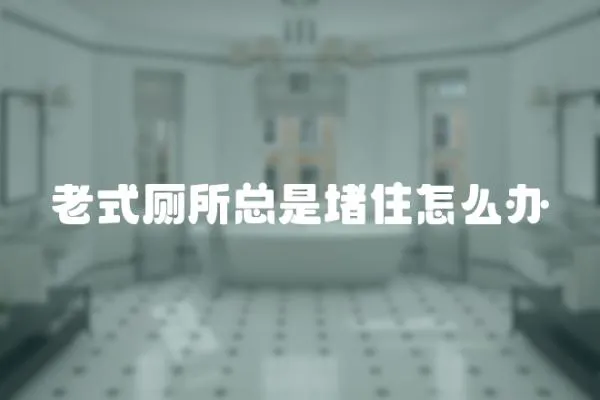 老式廁所總是堵住怎么辦