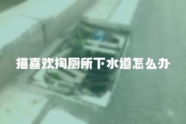 貓喜歡掏廁所下水道怎么辦