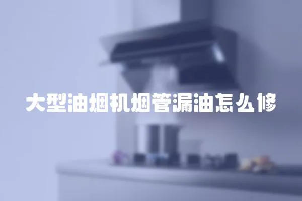 大型油煙機煙管漏油怎么修