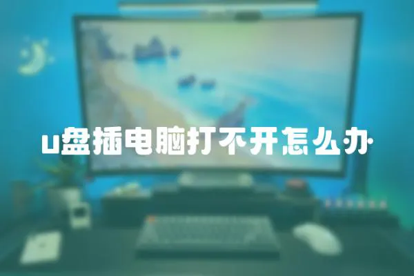 u盤插電腦打不開怎么辦