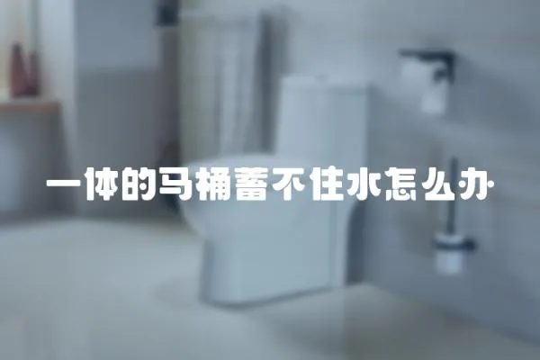 一體的馬桶蓄不住水怎么辦