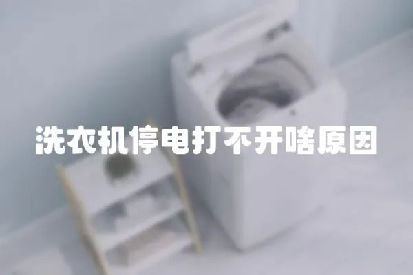洗衣機(jī)停電打不開(kāi)啥原因