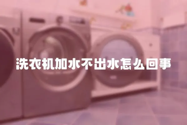洗衣機(jī)加水不出水怎么回事