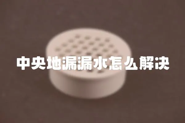 中央地漏漏水怎么解決