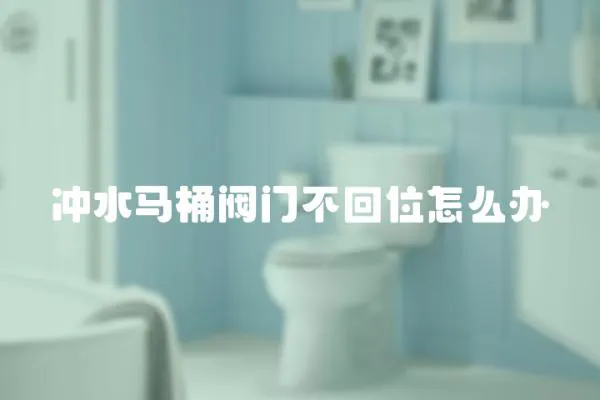 沖水馬桶閥門不回位怎么辦