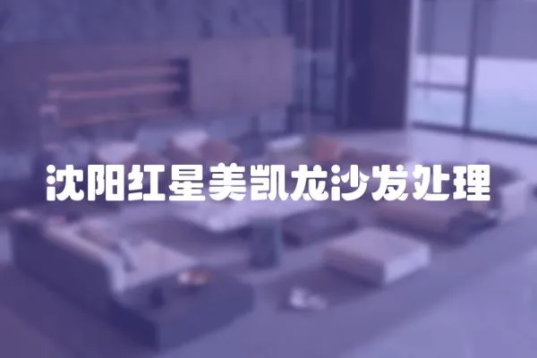 沈陽紅星美凱龍沙發處理