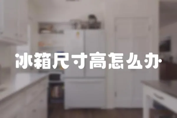 冰箱尺寸高怎么辦