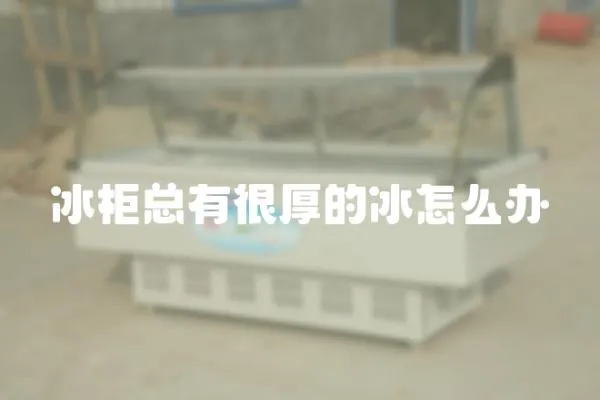 冰柜總有很厚的冰怎么辦