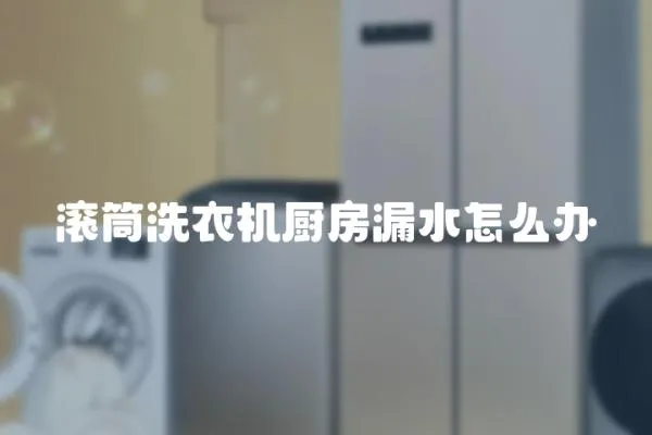 滾筒洗衣機(jī)廚房漏水怎么辦