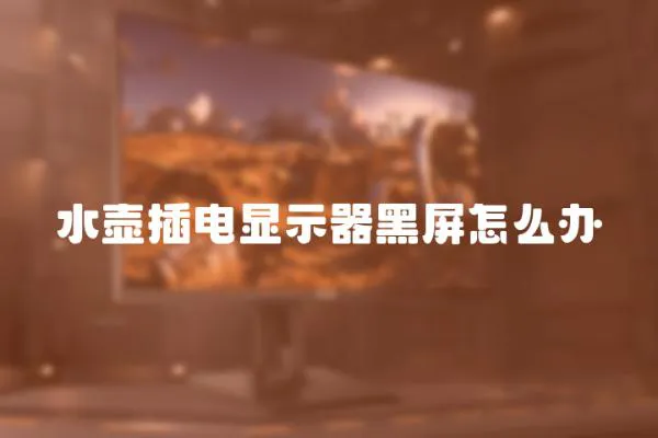 水壺插電顯示器黑屏怎么辦