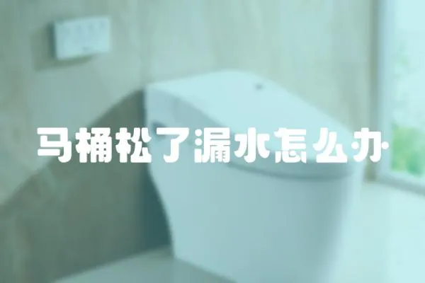 馬桶松了漏水怎么辦