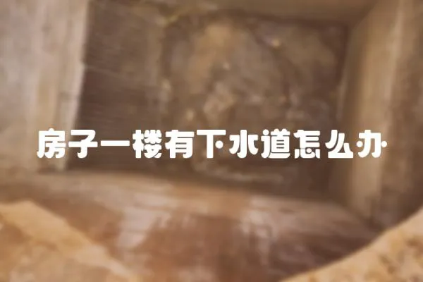 房子一樓有下水道怎么辦