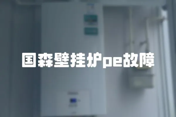 國森壁掛爐pe故障