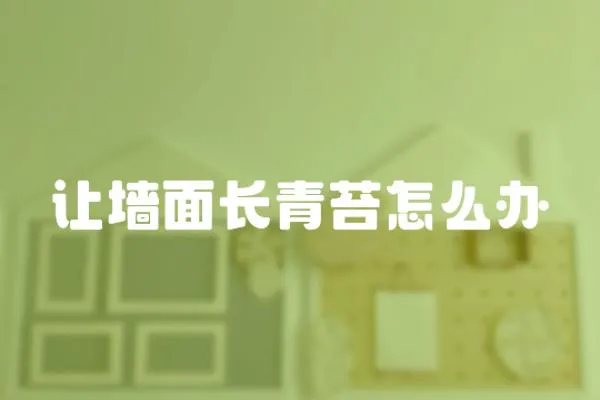 讓墻面長青苔怎么辦