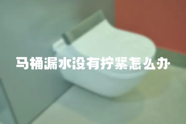 馬桶漏水沒有擰緊怎么辦