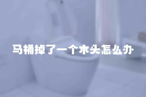 馬桶掉了一個木頭怎么辦