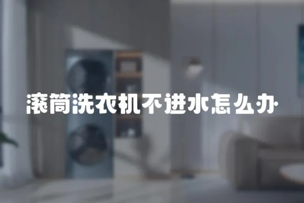 滾筒洗衣機不進水怎么辦