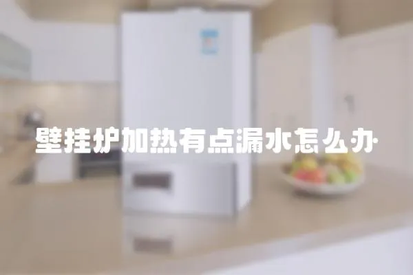 壁掛爐加熱有點(diǎn)漏水怎么辦