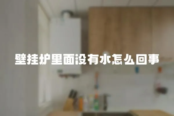 壁掛爐里面沒有水怎么回事