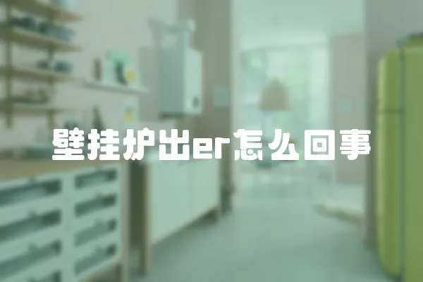 壁掛爐出er怎么回事