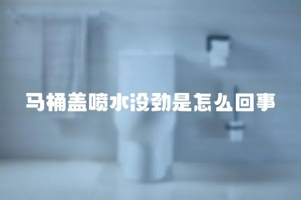 馬桶蓋噴水沒勁是怎么回事