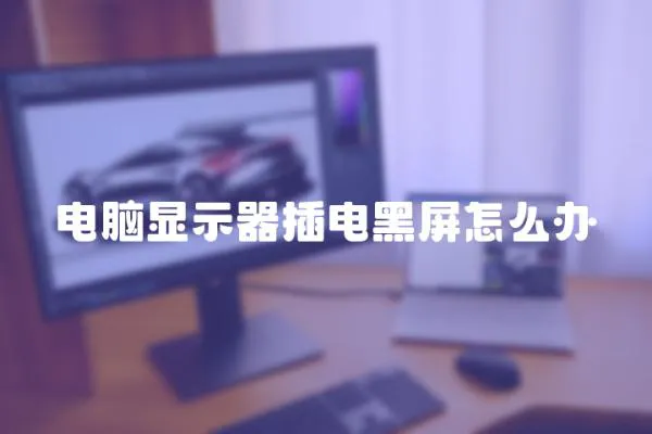 電腦顯示器插電黑屏怎么辦