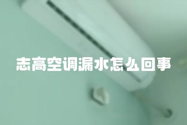 志高空調漏水怎么回事