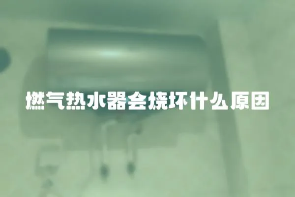 燃氣熱水器會燒壞什么原因