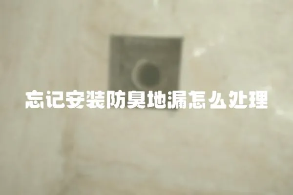 忘记安装防臭地漏怎么处理