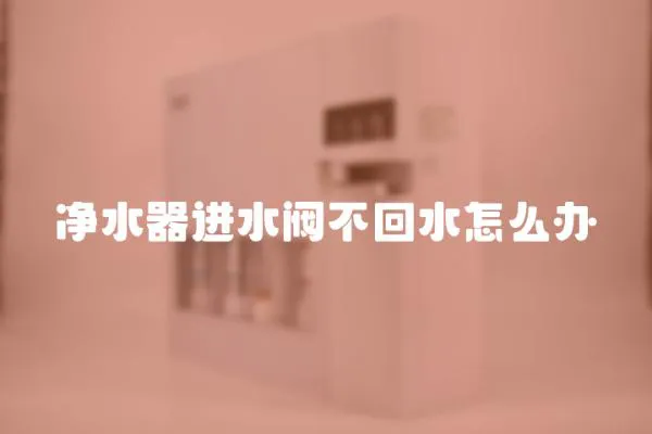 凈水器進水閥不回水怎么辦