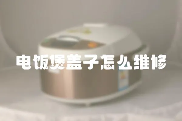 電飯煲蓋子怎么維修