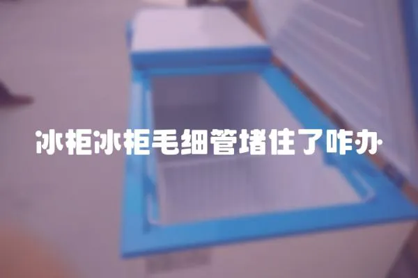 冰柜冰柜毛細管堵住了咋辦