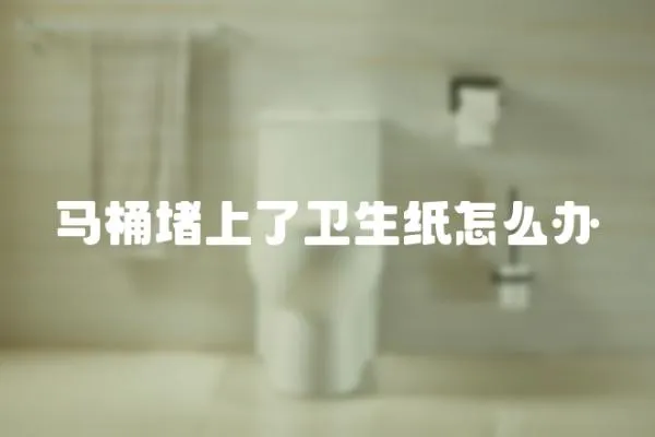 馬桶堵上了衛生紙怎么辦
